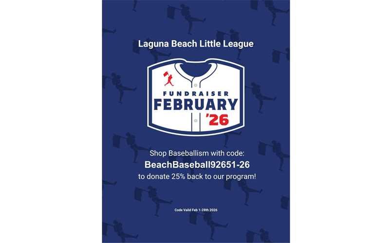 Shop Baseballism with Code to Donate 